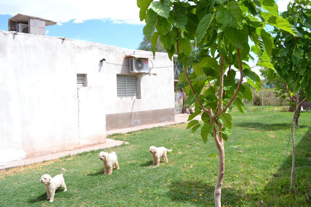 Hospedaje Las Termas Fiambala Bagian luar foto